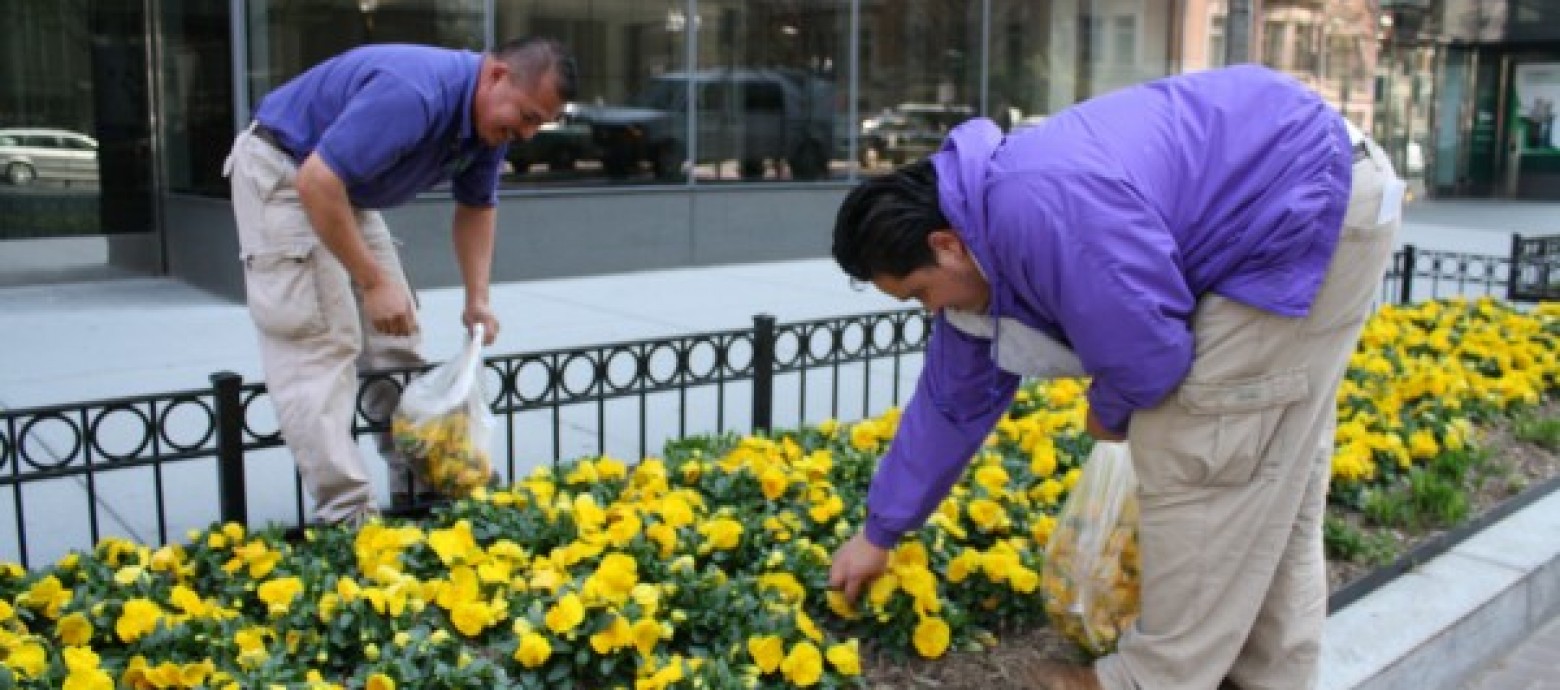Landscaper Safety: Top Safety Tips Landscapers Need To Follow