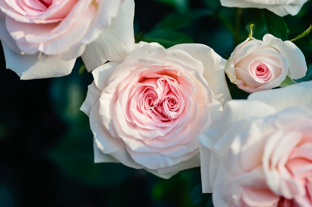 5 Easy Ways To Make Your Home More Environmentally Friendly
